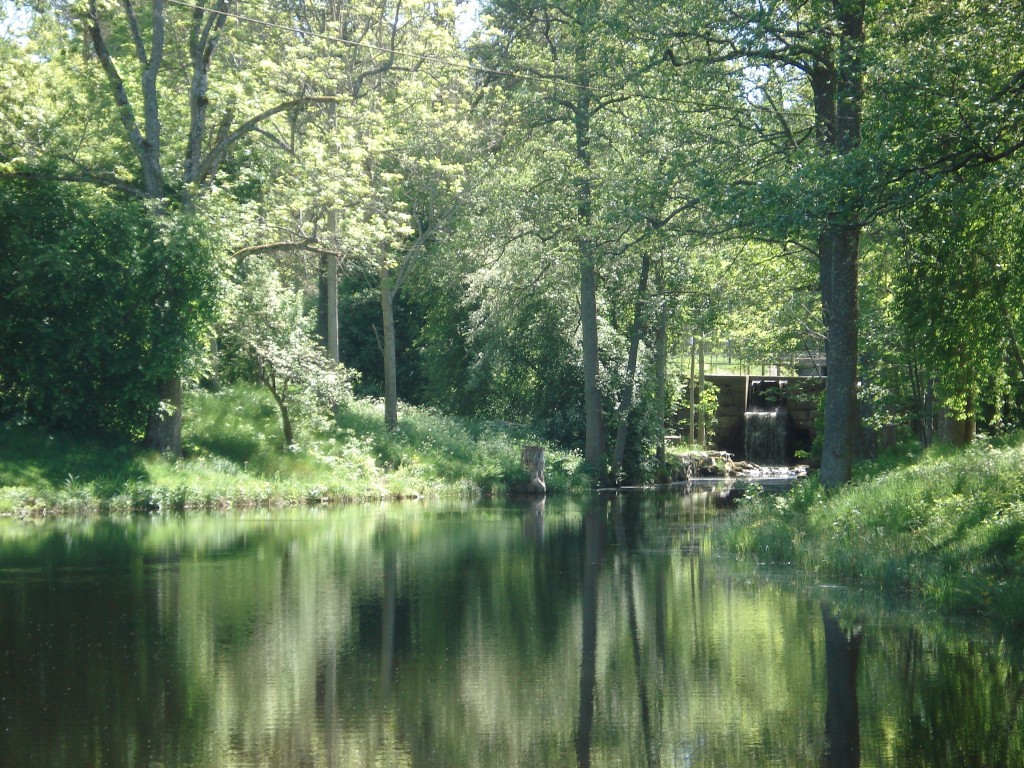 Bremyre 2008. En stillsam, naturskön plats med möjlighet för flugfiske i dammarna.